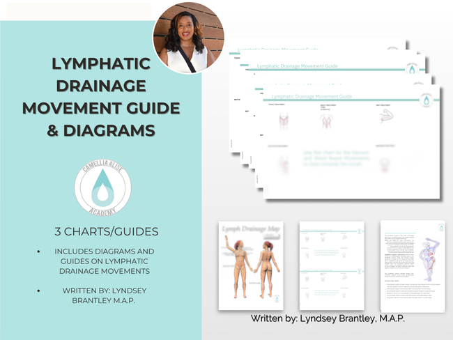 Lymphatic Detoxification and Drainage Maps & Guide| Instant Download